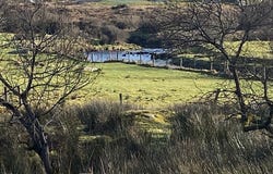 Tullycleave More, Co., Ardara,