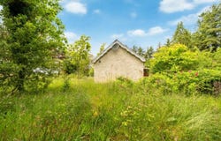 Castlebar, Turlough,