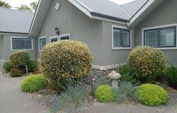 Geraldine, Timaru
