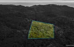 254 Piha Road, Piha, Waitakere City