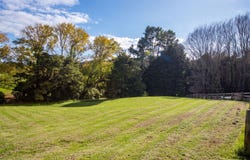 7 Waharoa Lane, Wellsford, Rodney