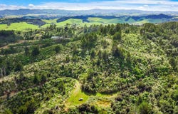 Lot 3 Radiata Road, Warkworth, Rodney