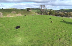 4326 Kaipara Coast Highway, Tauhoa, Rodney