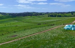 291 Prictor Road, Wellsford, Rodney