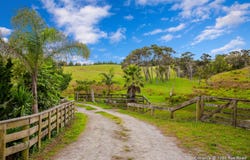 1089 Run Road, Wellsford, Rodney