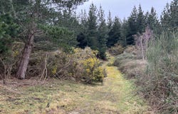 Breakneck Road, Herbert, Waitaki