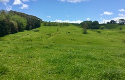 Lot 1 &/Lot 5 Wharehine Road, Wellsford, Rodney