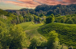 Clevedon, Manukau City