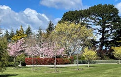 174 Loop Line, Opaki, Masterton