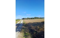 Lot 1,DP 166343 Journeys End, Tapora, Rodney