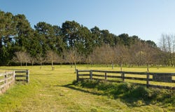 417 Upper Plain Road, Masterton, Masterton