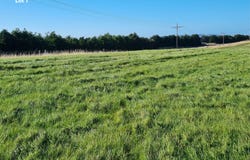 Cameron Road, Hillend, Balclutha, Clutha
