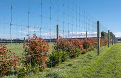 Downs Road, Hororata, Selwyn