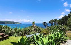 38 Puriri Bay Road, Great Barrier Island, Hauraki Gulf Islands