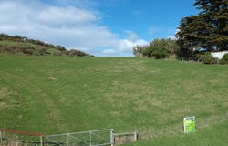Dick Road, Moeraki, Waitaki