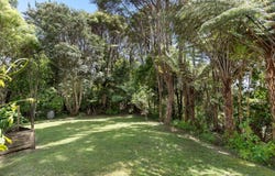 77 Carter Road, Oratia, Waitakere City
