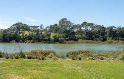 38 Elliot Street, Riverhead, Rodney