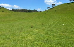 928 Kuaotunu-Wharekaho Road, Whitianga, Thames-Coromandel