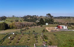 56 Shepherd Road, Wellsford, Rodney