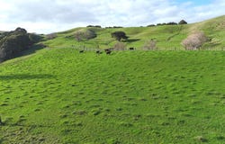 4326 Kaipara Coast Highway, Tauhoa, Rodney