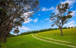 1089 Run Road, Wellsford, Rodney