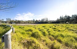 15 Whio Way, Stillwater, Rodney
