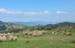 928 Kuaotunu-Wharekaho Road, Whitianga, Thames-Coromandel