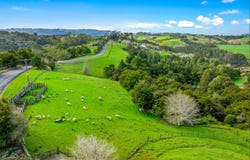 Lot 1 Whitmore Road, Matakana, Rodney