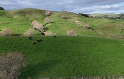 4326 Kaipara Coast Highway, Tauhoa, Rodney