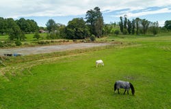 825 Opihi Road, Pleasant Point, Timaru