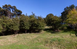 13 Tramway Road, Coromandel, Thames-Coromandel