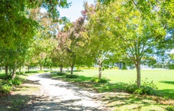 ROYD ROAD WEST, Makauri, Gisborne