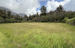 1-3 Frames Road, Fox Glacier, Westland