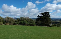 Dick Road, Moeraki, Waitaki
