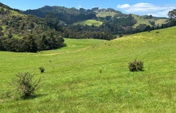 928 Kuaotunu-Wharekaho Road, Whitianga, Thames-Coromandel
