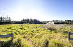 18 Whio Way, Stillwater, Rodney