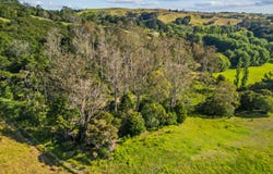 19 Doel Road, Kawakawa, Far North