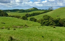 Lot 1 Wharehine Road, Wellsford, Rodney