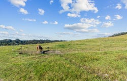19 Doel Road, Kawakawa, Far North