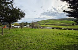 Dunedin, Milton, Clutha