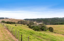 1093 Run Road, Wellsford, Rodney