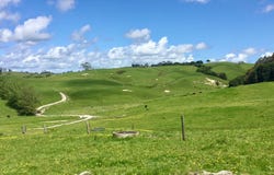 Lot 1 &/Lot 5 Wharehine Road, Wellsford, Rodney