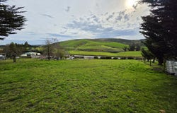 Dunedin, Milton, Clutha