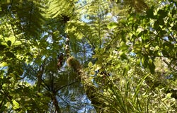 89 Bethells Road, Waitakere, Waitakere City