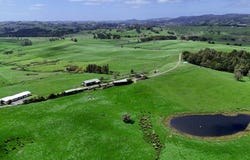 291 Prictor Road, Wellsford, Rodney