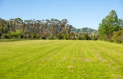 715 Back Ormond Road, Makauri, Gisborne