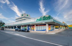 4-8 Edsel Street, Henderson, Waitakere City