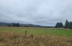 Racecourse Road, Waimate, Waimate