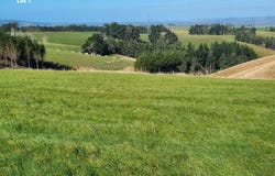 Cameron Road, Hillend, Balclutha, Clutha