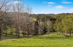 729 Ponga Road, Drury, Papakura
